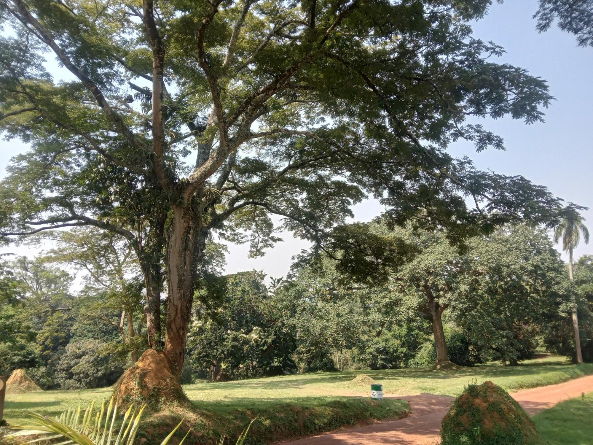 Mowicribs Hotel And Spa Entebbe Chambre photo